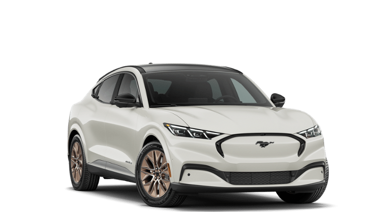 Mustang Mach-E® vehicle